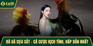 đá gà cựa sắt