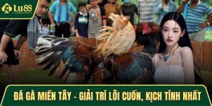 đá gà miền Tây