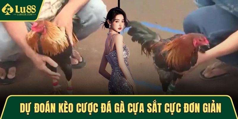 Đá Gà Cựa Sắt - Thế Giới Cá Cược Kịch Tính, Hấp Dẫn Nhất 3 Dự đoán kèo cược đá gà cựa sắt cực đơn giản