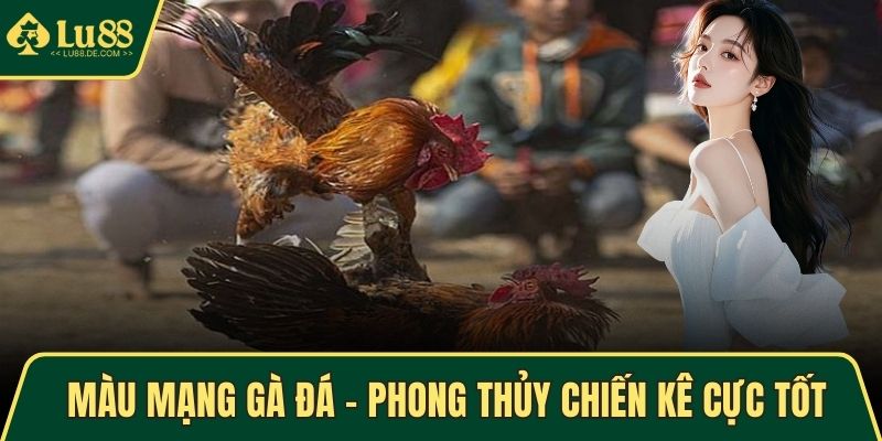 Màu Mạng Gà Đá - Phong Thủy Chiến Kê Cực Tốt, Cực Chuẩn 1 màu mạng gà đá