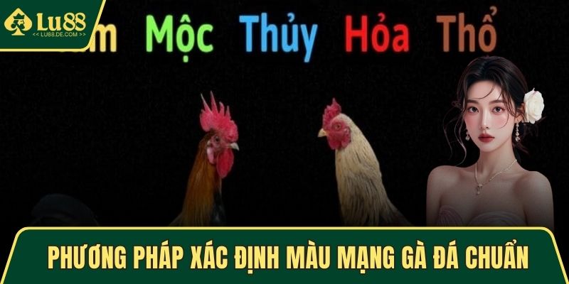 Màu Mạng Gà Đá - Phong Thủy Chiến Kê Cực Tốt, Cực Chuẩn 3 Phương pháp xác định màu mạng gà đá chuẩn xác nhất