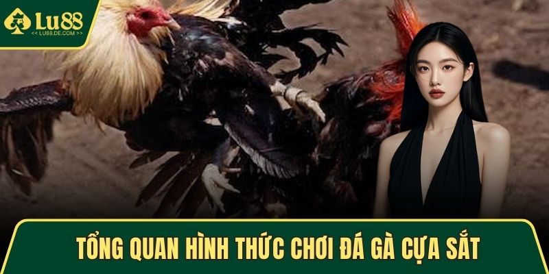 Đá Gà Cựa Sắt Tại LU88 – Chiến Thuật Thắng Cao Mỗi Phiên 2 Tổng quan hình thức chơi đá gà cựa sắt
