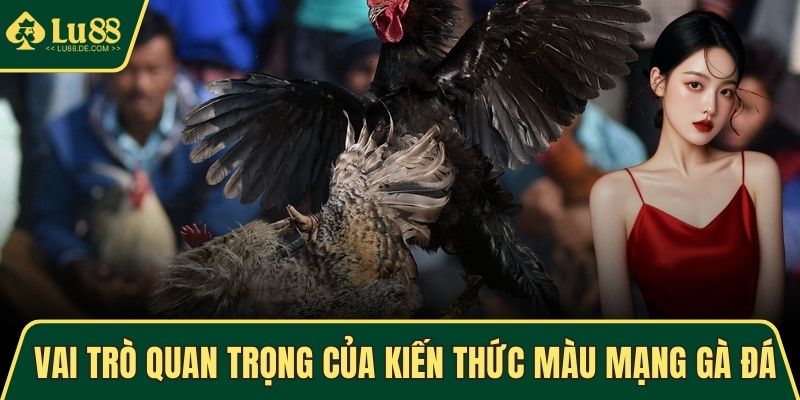 Màu Mạng Gà Đá - Phong Thủy Chiến Kê Cực Tốt, Cực Chuẩn 2 Vai trò quan trọng của kiến thức màu mạng gà đá